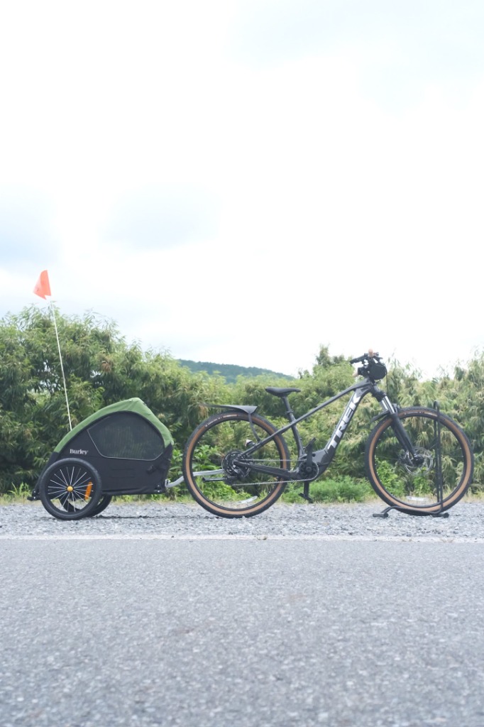 Dog Custom Bike