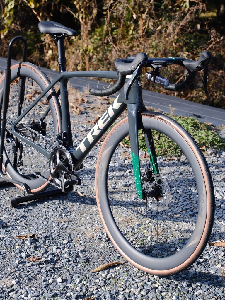 Front Fork Graphic