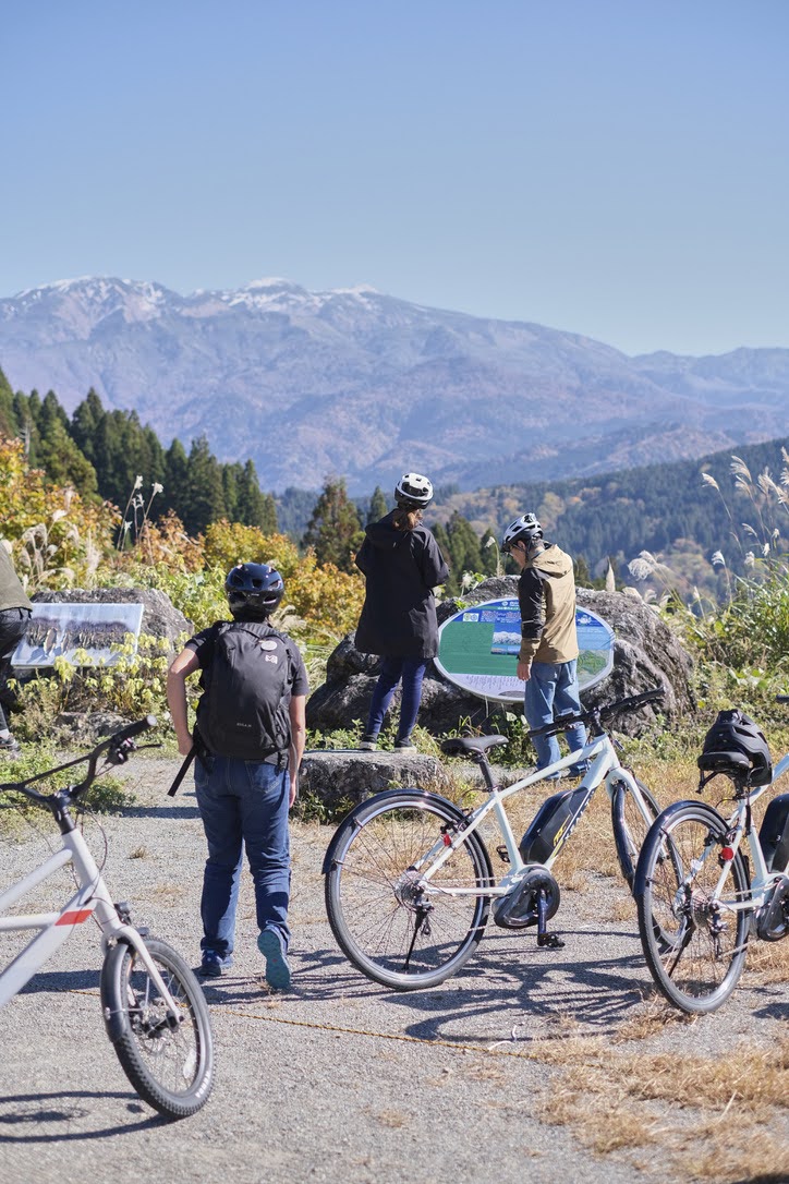 Professional Work